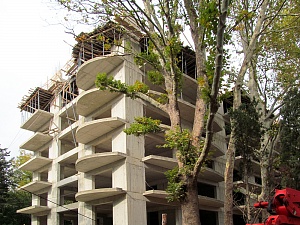 ��� ������������� ������ 2013 ��� � ������ "Status House"  ���� 2